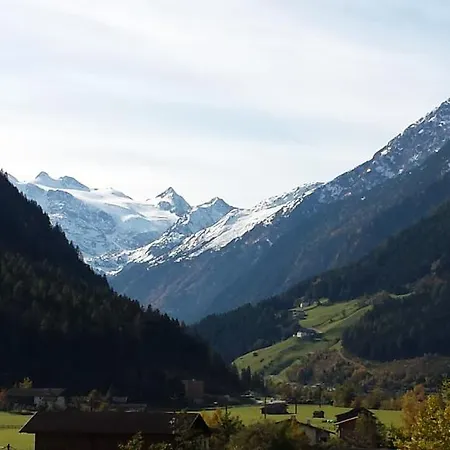 Ahorn * Neustift im Stubaital