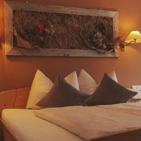 Ahorn Neustift im Stubaital